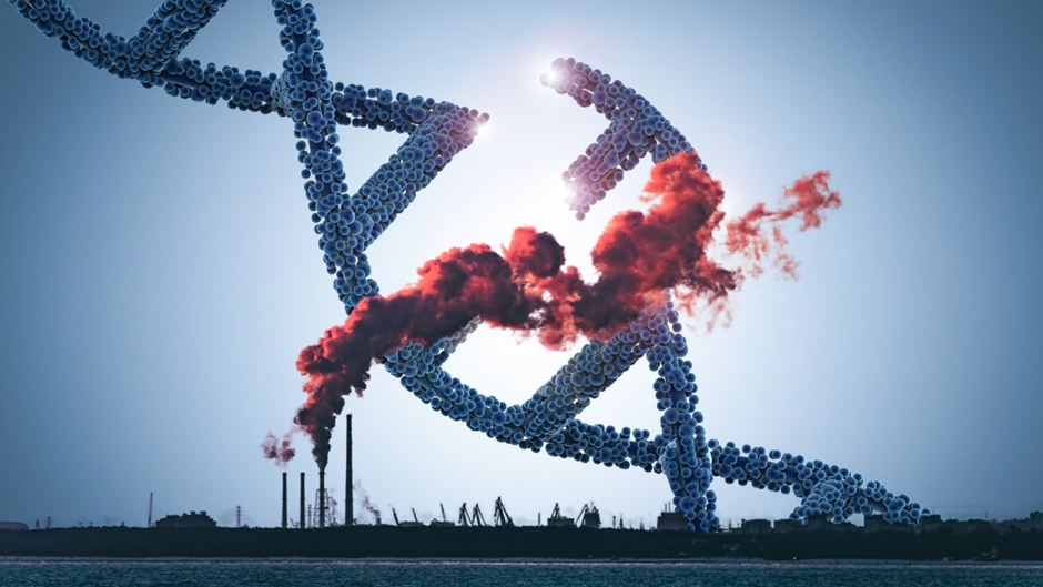 Figure 6 Environmental pollution can trigger genetic changes and oxidative stress&mdash;highlighting the need for clean, nutrient-rich diets like Paleo to support cellular health.