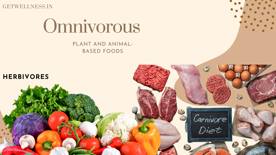 An omnivorous meal featuring whole foods like fresh vegetables, whole grains, meat, fish, and dairy — representing a nutrient-rich, balanced diet from both plant and animal sources.