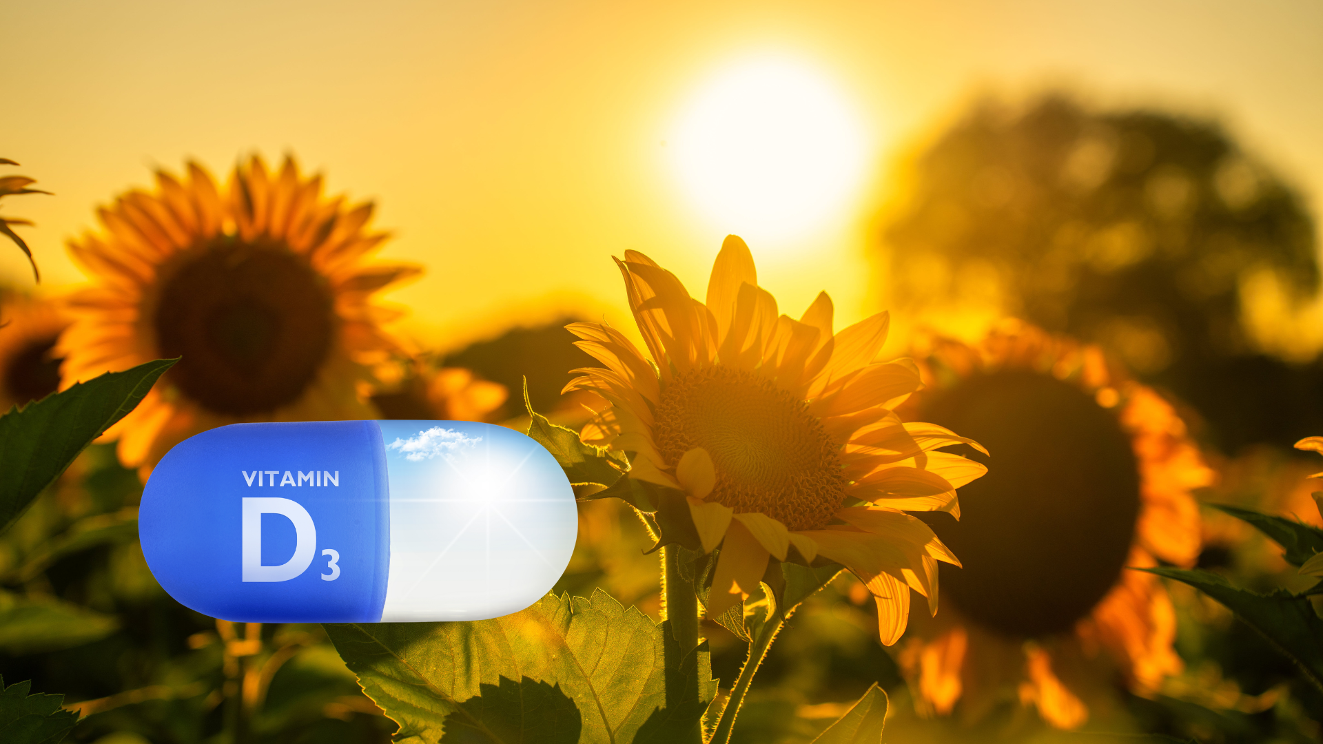 Vitamin D3 