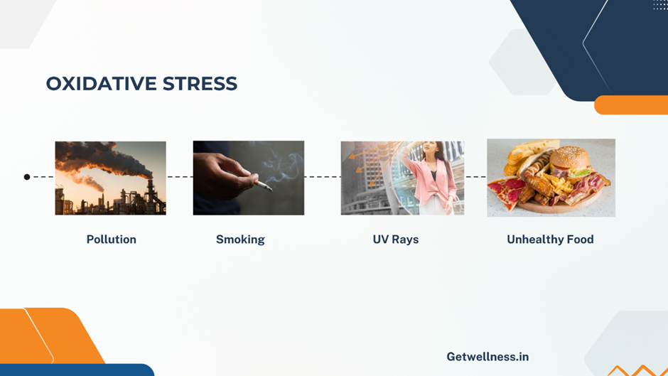 Antioxidants and Free Radicals: Why You Need Them for a Healthier Life